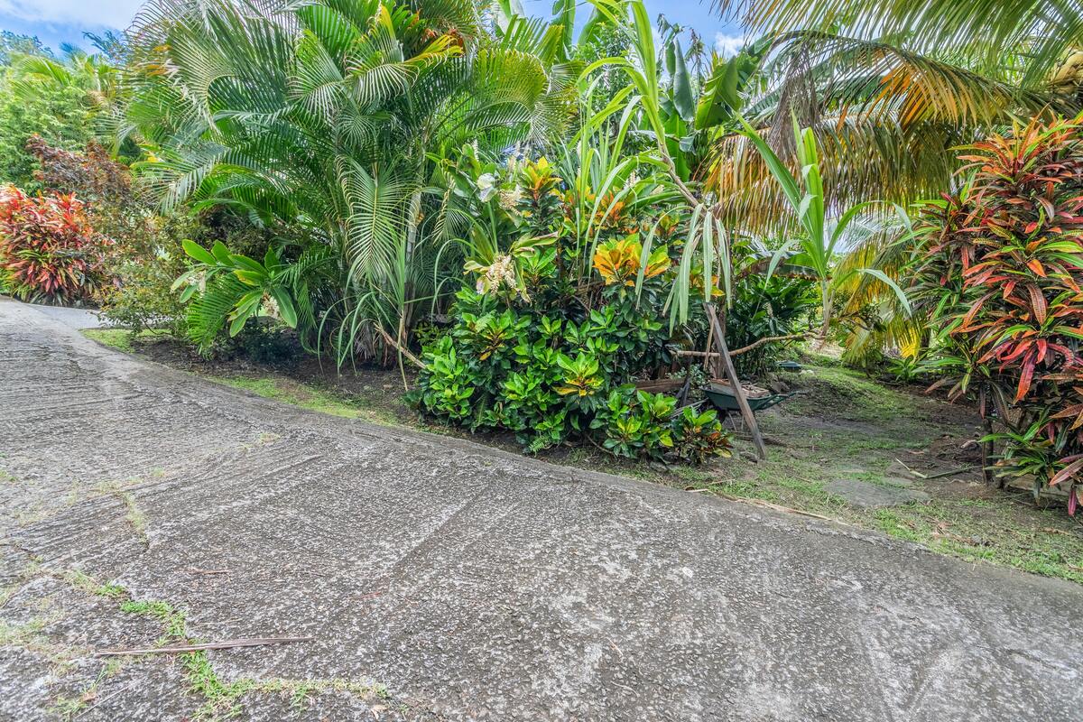 Bungalow 40 m² avec barbecue à Rivière-Salée - Photo 22