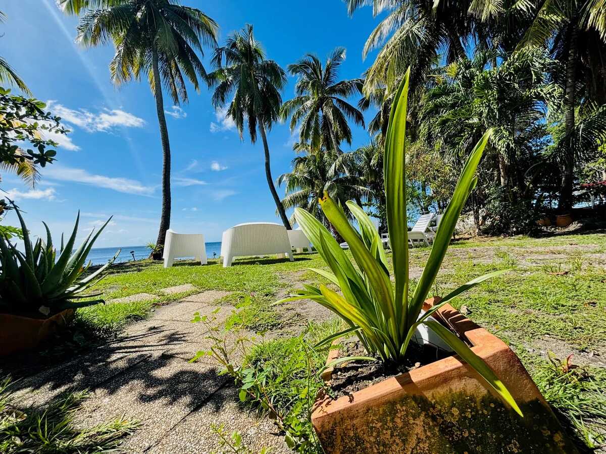 Bungalow 90 m² vue mer à Saint-Pierre, 6 personnes - Photo 5