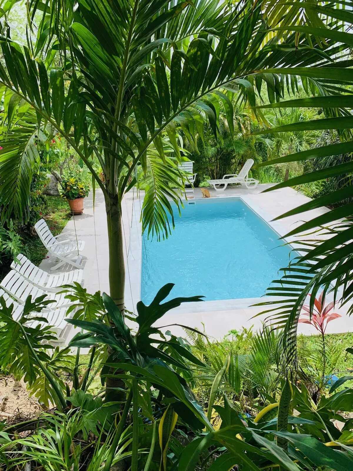 Maison 2 chambres piscine commune au Diamant - Photo 2