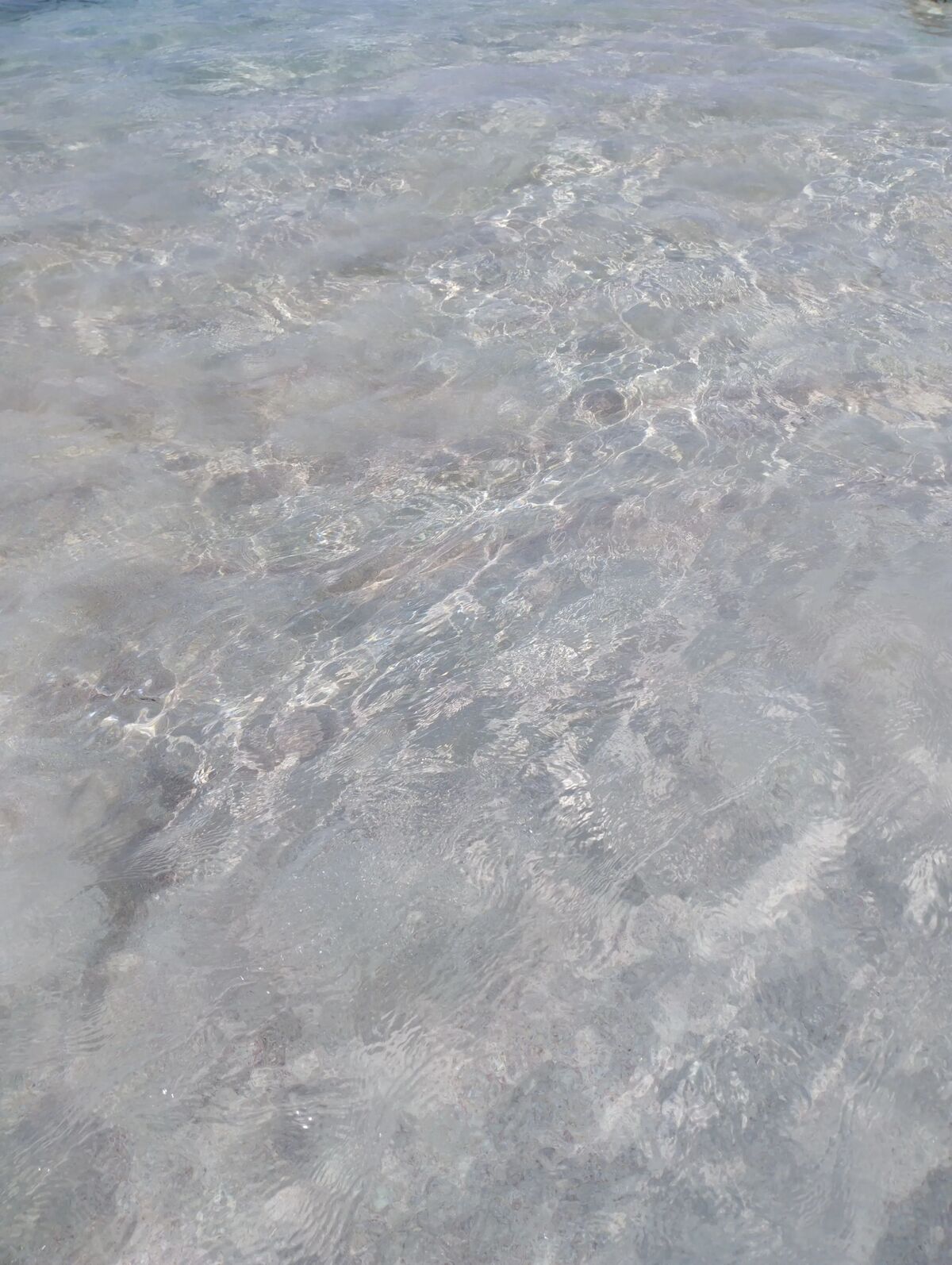 Maison 70 m² avec jardin et terrasse à Anse-Bertrand - Photo 31