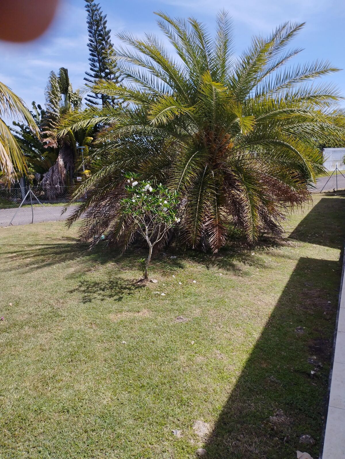 Maison 70 m² avec jardin et terrasse à Anse-Bertrand - Photo 33