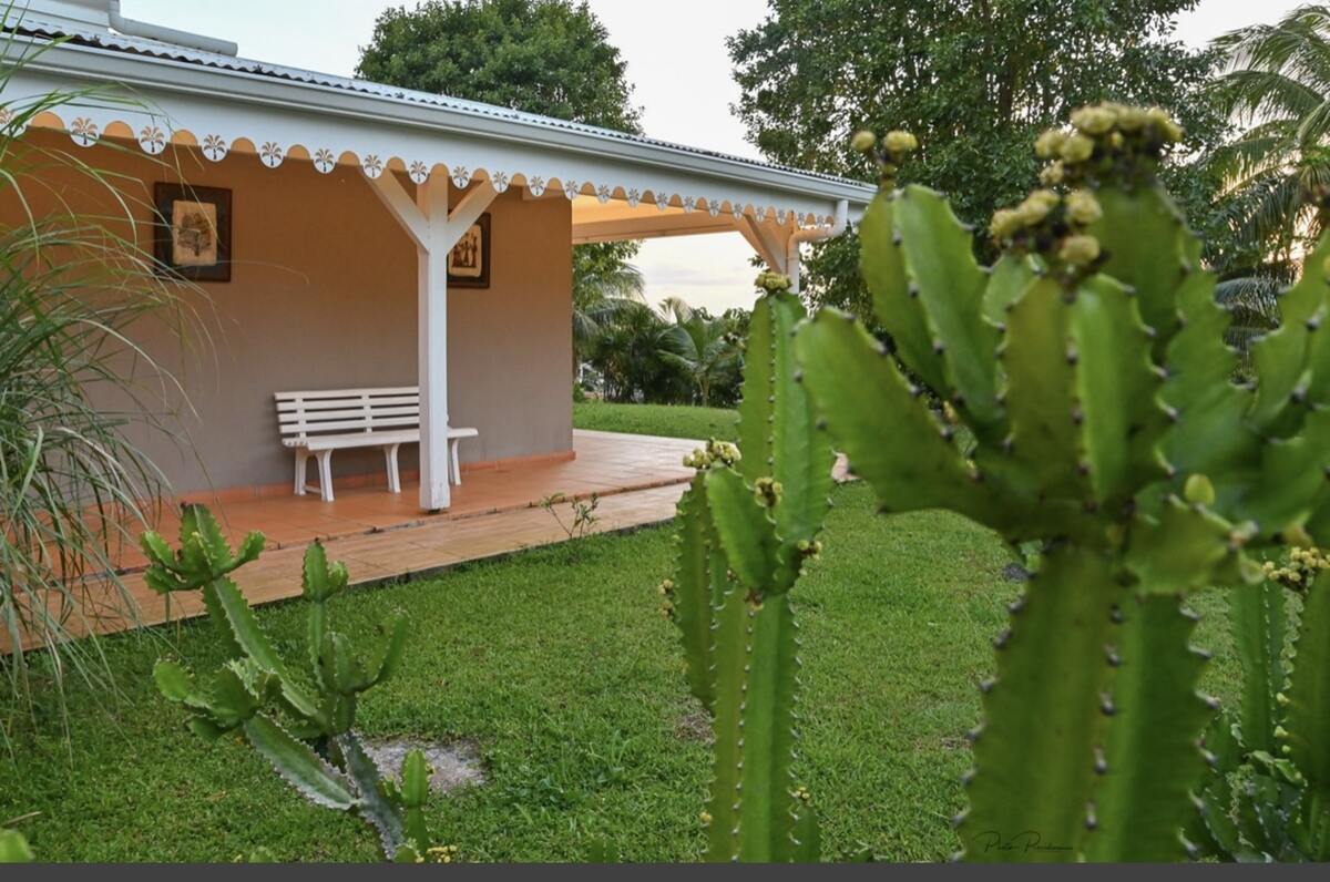 Appartement 30 m² terrasse vue montagnes, piscine - Photo 6