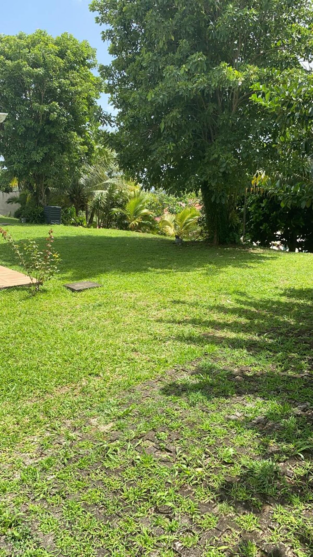 Appartement 30 m² terrasse vue montagnes, piscine - Photo 13