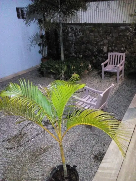 Appartement confortable à Le Vauclin avec jacuzzi - Photo 30