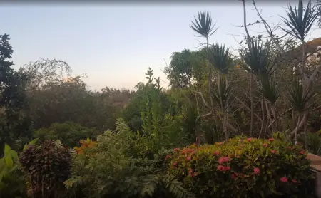 Maison avec piscine partagée et jardin clos à Sainte-Luce, Martinique : photo 15