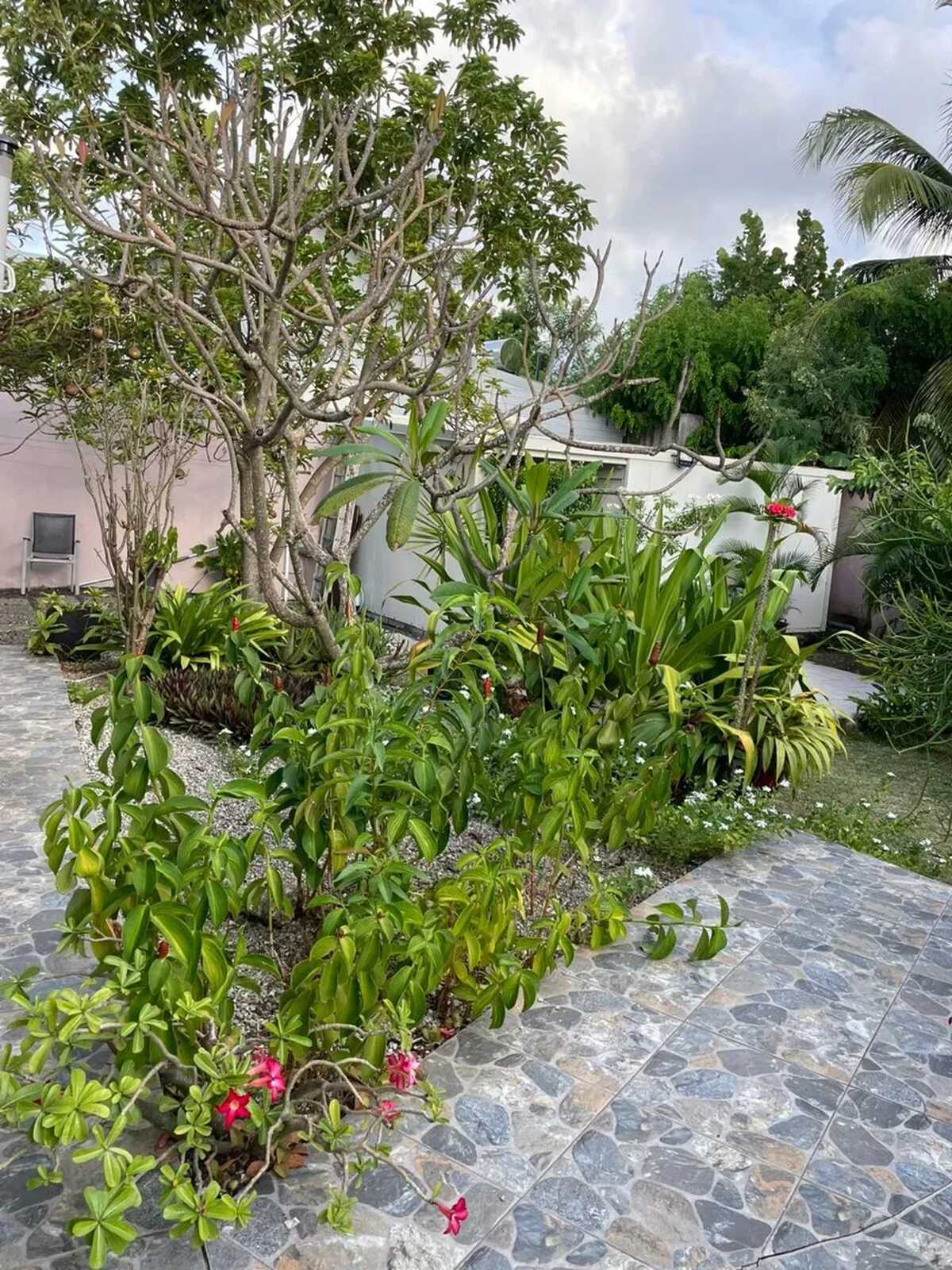 Villa 6 pers. Sainte-Anne : piscine privée & terrasse - Photo 43