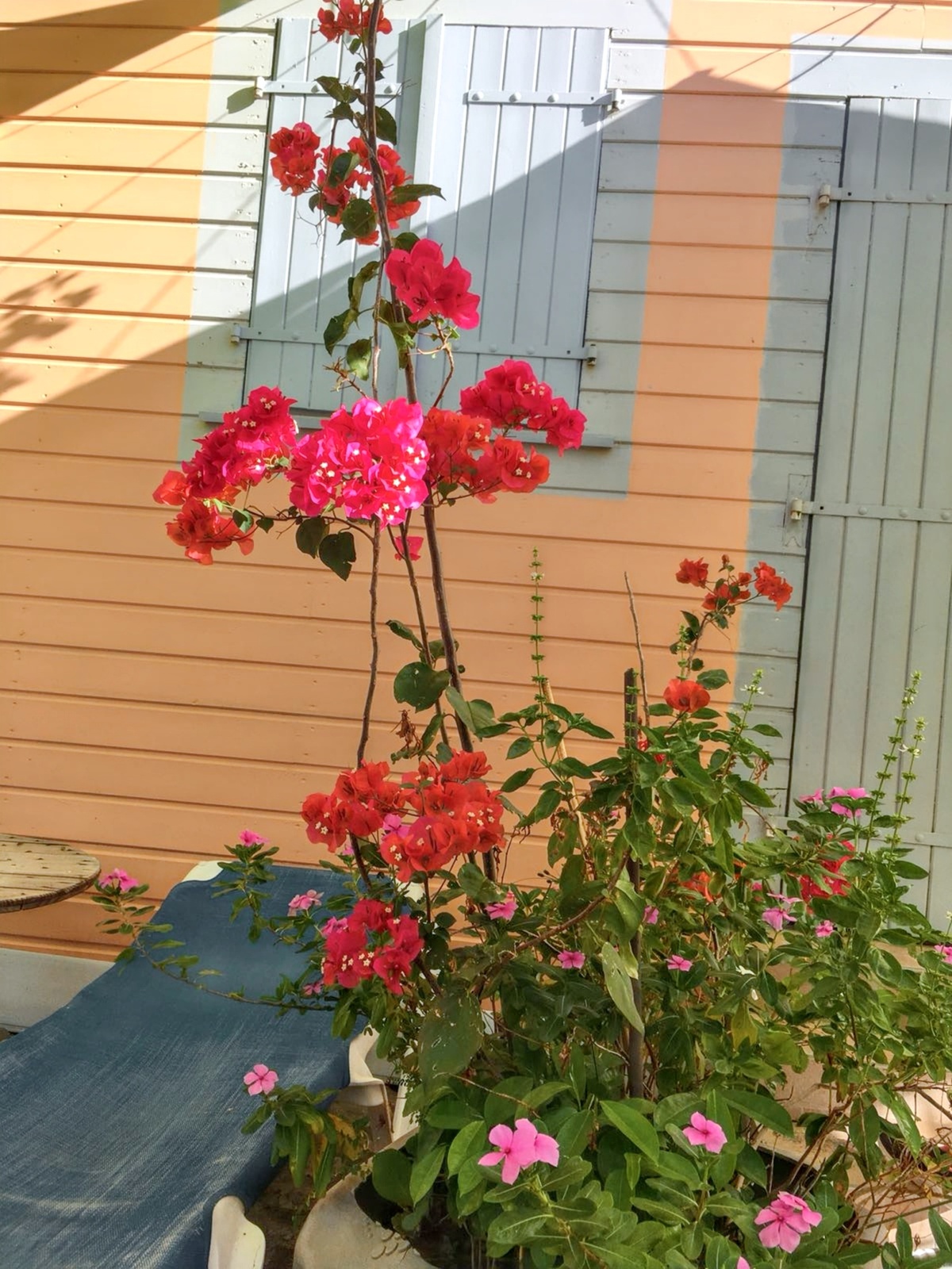Appartement vue mer au Carbet, balcon et jardin - Photo 9