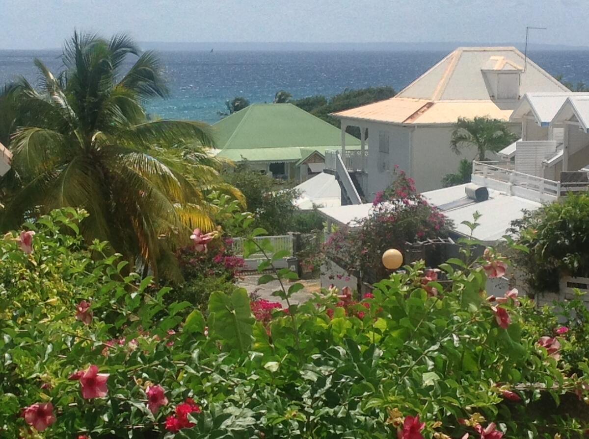Appartement 36 m² vue mer, jardin et terrasse à Saint-François - Photo 5