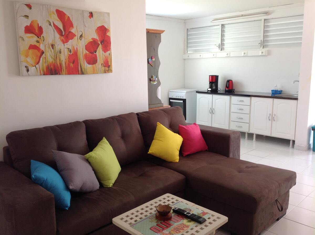 Appartement 36 m² vue mer, jardin et terrasse à Saint-François - Photo 8