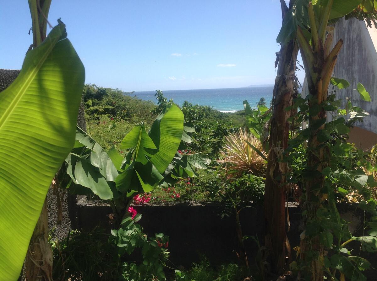 Appartement 36 m² vue mer, jardin et terrasse à Saint-François - Photo 22