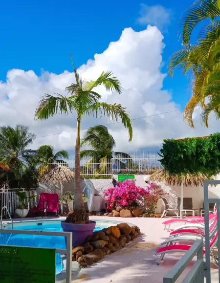 Appartement 60 m² avec piscine partagée à Sainte-Anne, Martinique : photo 10