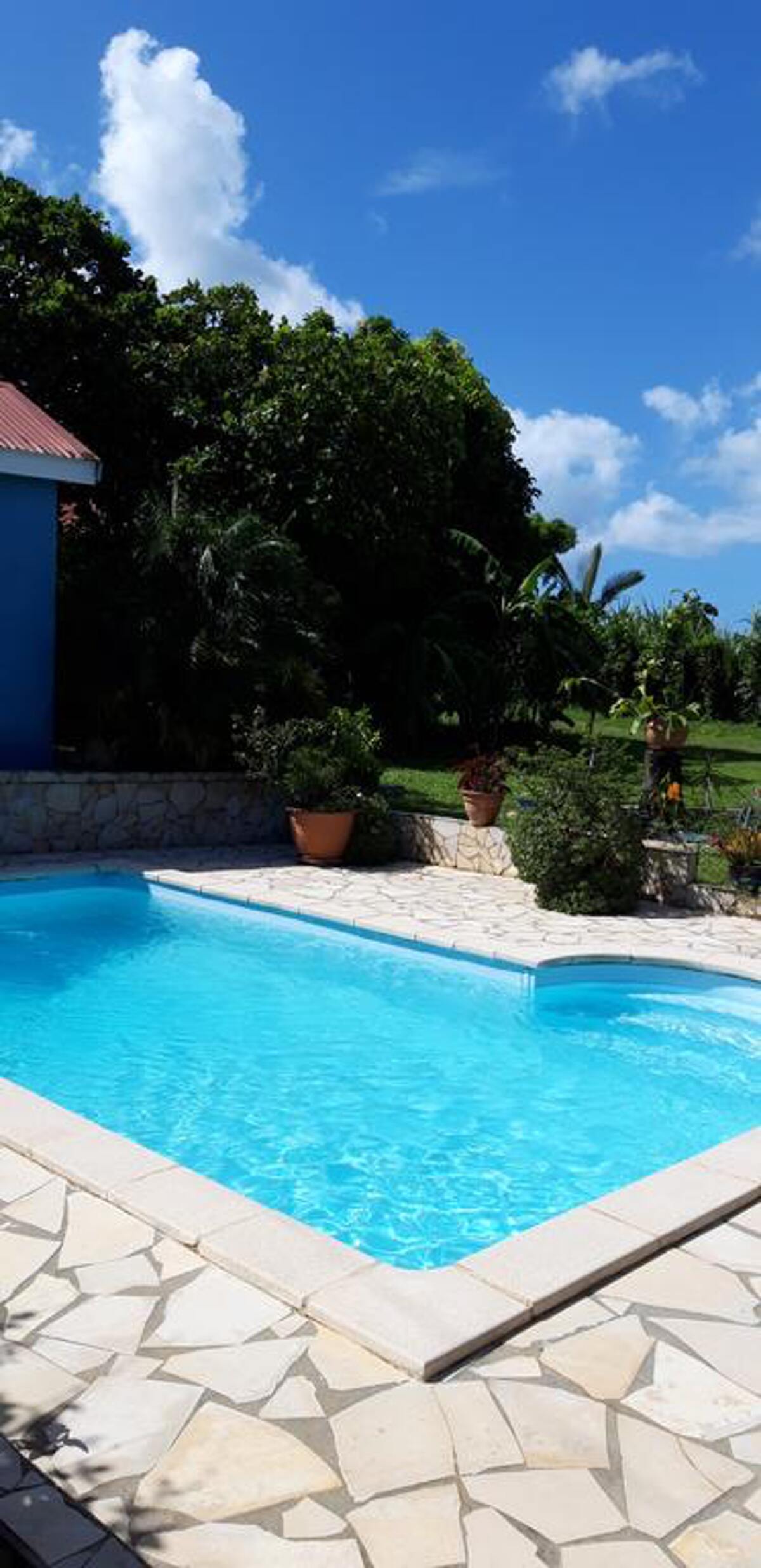 Studio 20 m² avec piscine privée à Baie Mahault - Photo 14