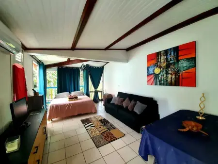 Studio 30 m² climatisé à Sainte-Anne, près de la plage Pointe Marin : photo 5