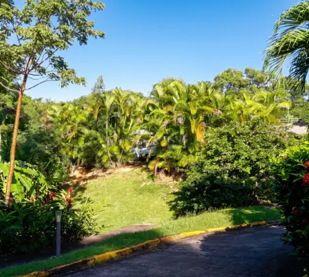 Studio chaleureux à Sainte-Anne - 29m² avec jardin. : photo 11