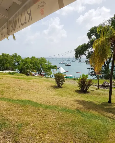 Studio chaleureux à Sainte-Anne - 29m² avec jardin. : photo 19