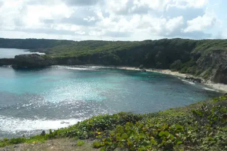 Villa de charme avec jacuzzi et piscine privée, Le Gosier - Photo 39