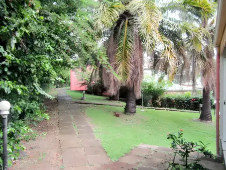 Studio avec terrasse et vue jardin à Sainte-Anne, Martinique : photo 14