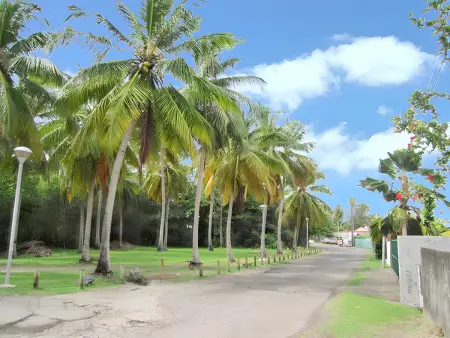 Studio avec terrasse et vue jardin à Sainte-Anne, Martinique : photo 16
