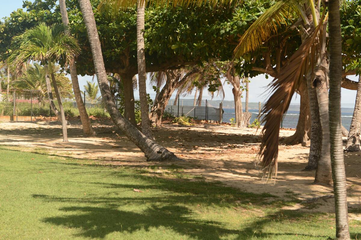 Studio 20 m² vue mer et jardin au Moule - Photo 10