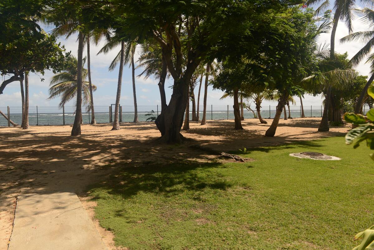 Studio 20 m² vue mer et jardin au Moule - Photo 11