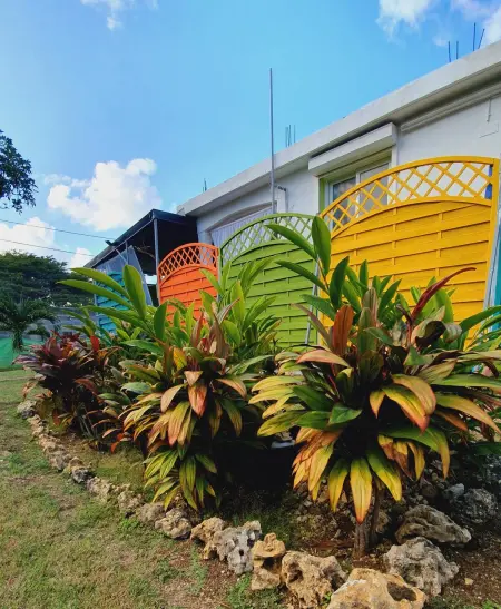 Maison confortable à Sainte-Anne, Maison 6 personnes à Sainte Anne - Photo 19