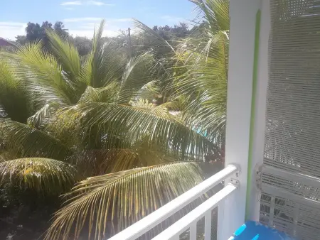 Appartement élégant à Sainte-Anne - 35 m² avec piscine - Photo 13