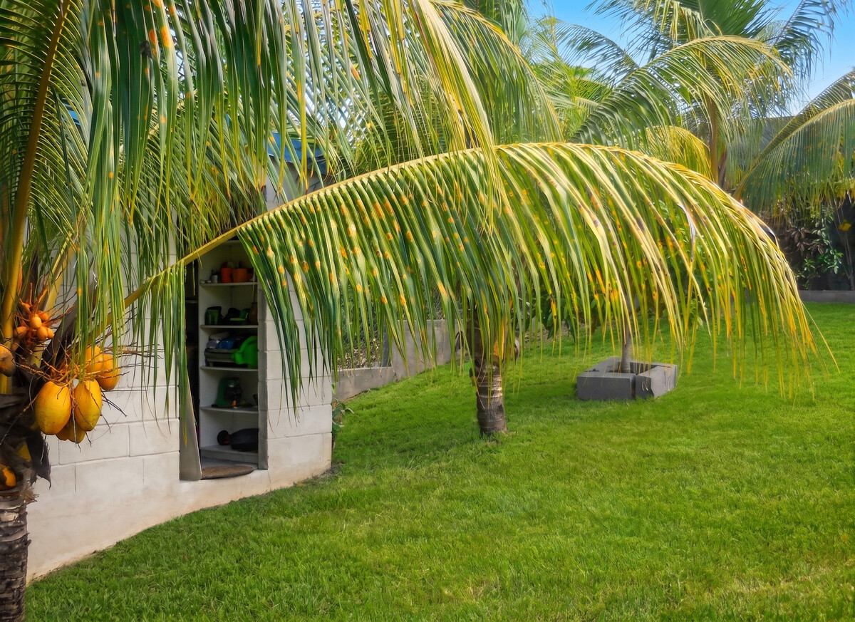 Maison 2 chambres avec jardin clôturé à Sainte-Anne, Guadeloupe - Photo 8