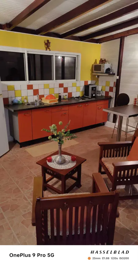 Appartement 30 m² avec terrasse et vue montagne à Rivière-Pilote : photo 4