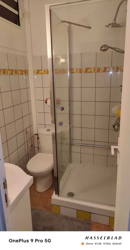 Appartement 30 m² avec terrasse et vue montagne à Rivière-Pilote : photo 7