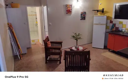 Appartement 30 m² avec terrasse et vue montagne à Rivière-Pilote : photo 9