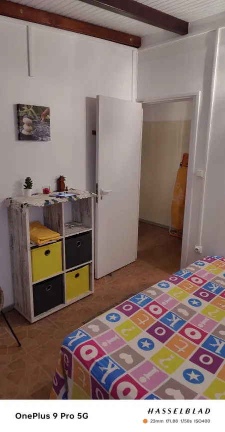 Appartement 30 m² avec terrasse et vue montagne à Rivière-Pilote : photo 11