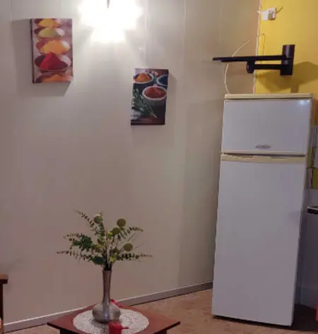 Appartement 30 m² avec terrasse et vue montagne à Rivière-Pilote : photo 12