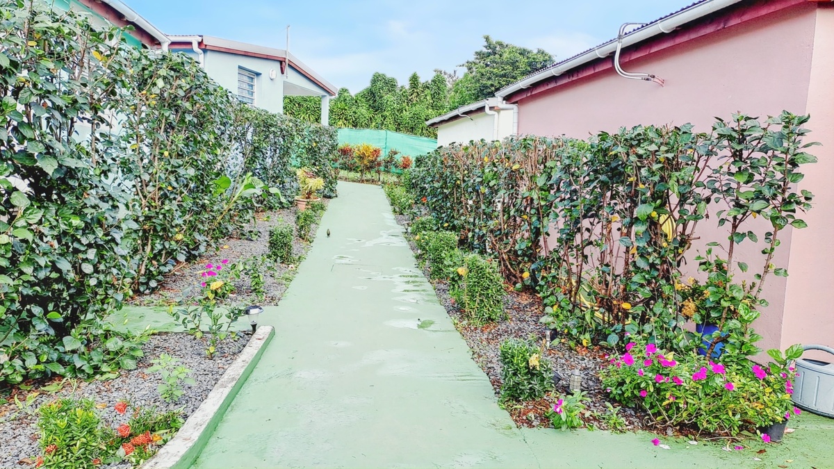 Maison 36 m² avec jardin à Capesterre-Belle-Eau - Photo 1