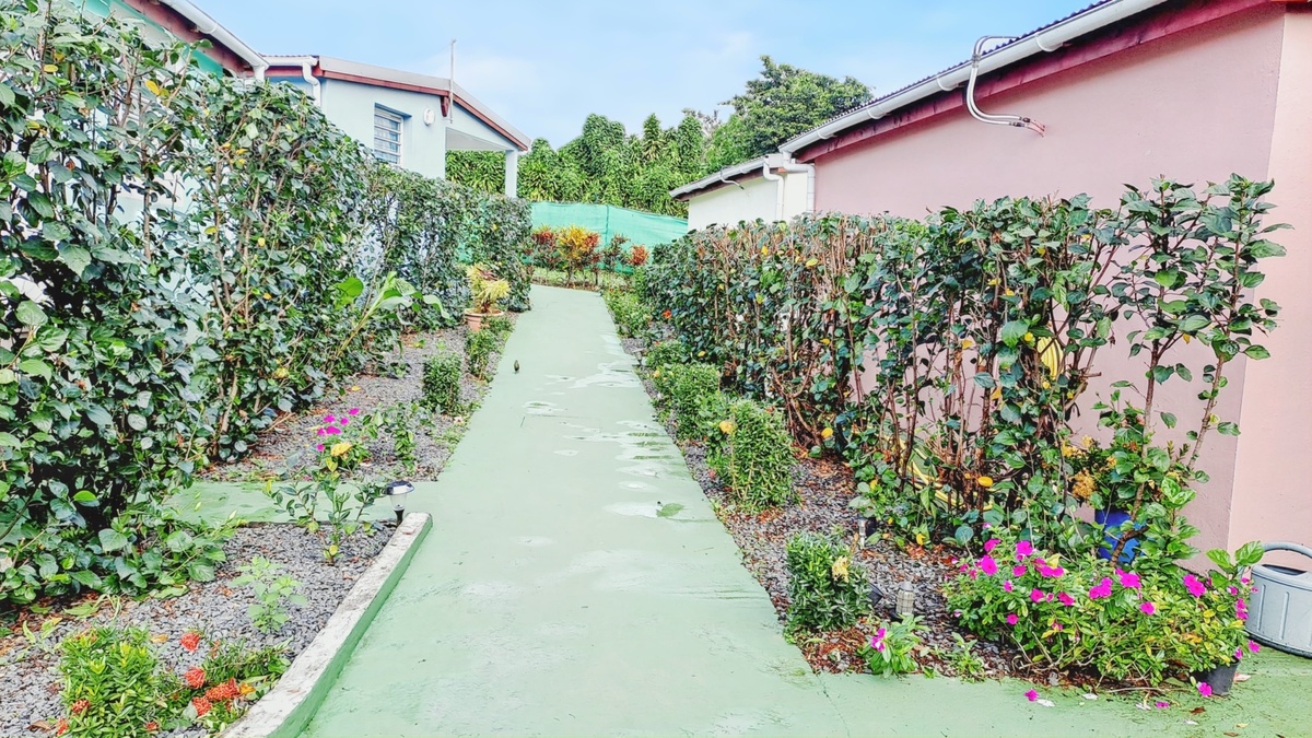 Maison 36 m² avec terrasse et jardin à Capesterre-Belle-Eau - Photo 5