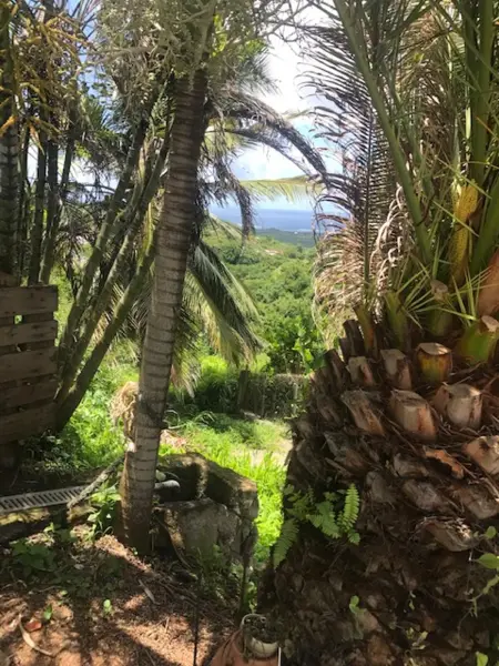 Appartement vue mer climatisé, 80 m², Le Marin (Martinique) : photo 21