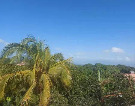 Appartement charmant à Sainte-Luce avec vue sur la montagne - Photo 13