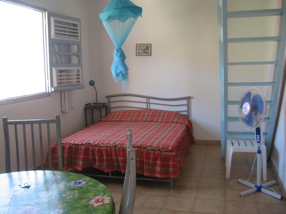 Appartement 30 m² avec terrasse et jardin à Sainte-Anne - Photo 5