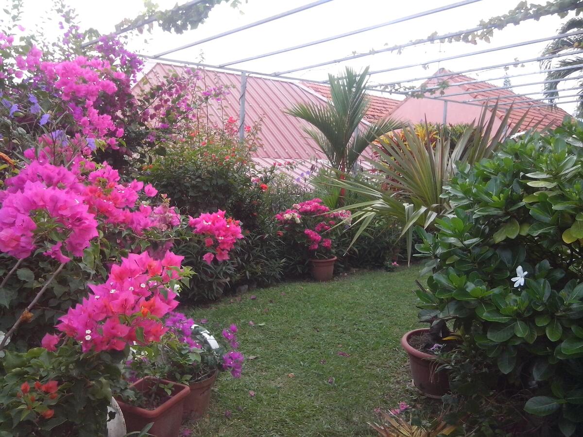 Appartement 30 m² avec terrasse et jardin à Sainte-Anne - Photo 8