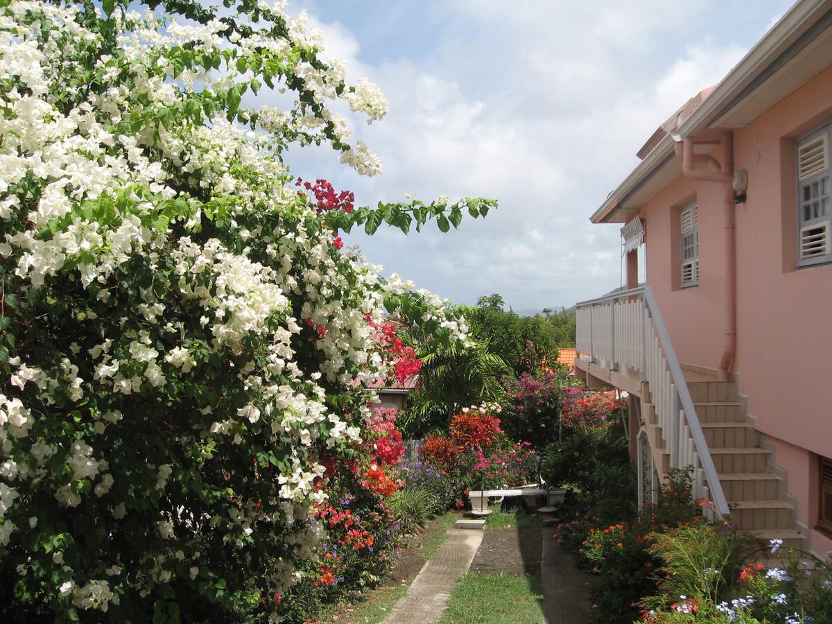 Appartement 30 m² avec terrasse et jardin à Sainte-Anne - Photo 11