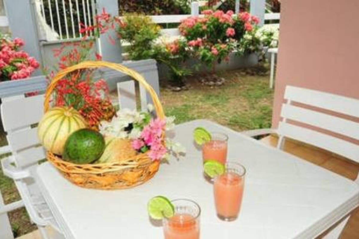 Appartement 30 m² avec terrasse et jardin à Sainte-Anne - Photo 12