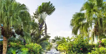 Studio 25 m² avec piscine partagée à Saint-François, Guadeloupe : photo 9