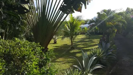 Villa avec piscine privée et jacuzzi à Saint-François, Guadeloupe : photo 23