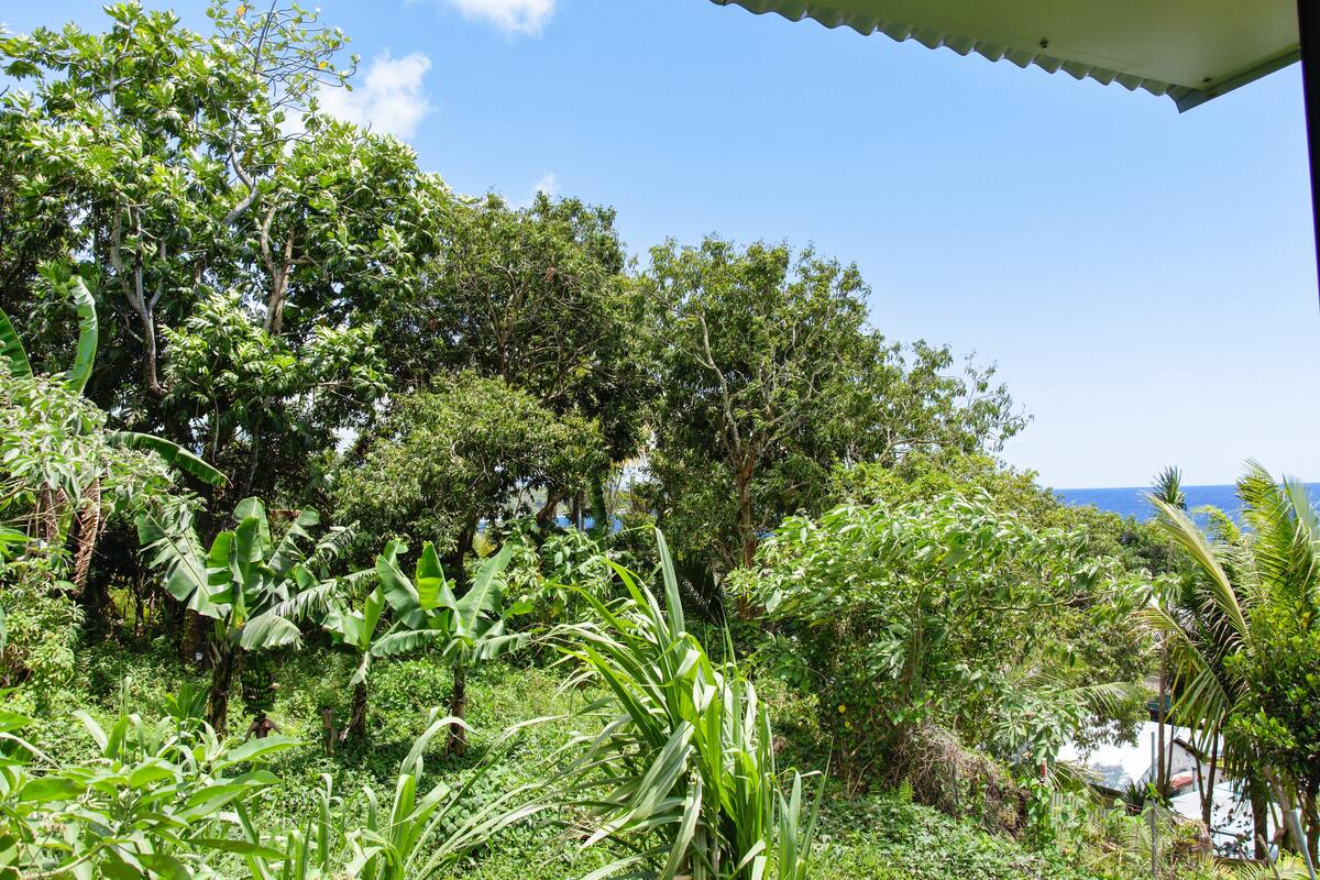 Maison 6 pers. vue mer et jardin à Sainte-Rose - Photo 16