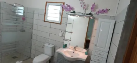 Maison 6 pers. avec vue montagne, jardin et ping-pong à Pointe-Noire : photo 11