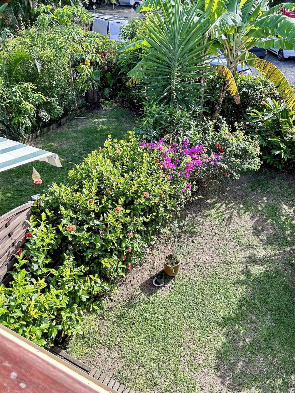 Studio climatisé au Diamant, 4 pers. - Piscine et vue montagne - Photo 10