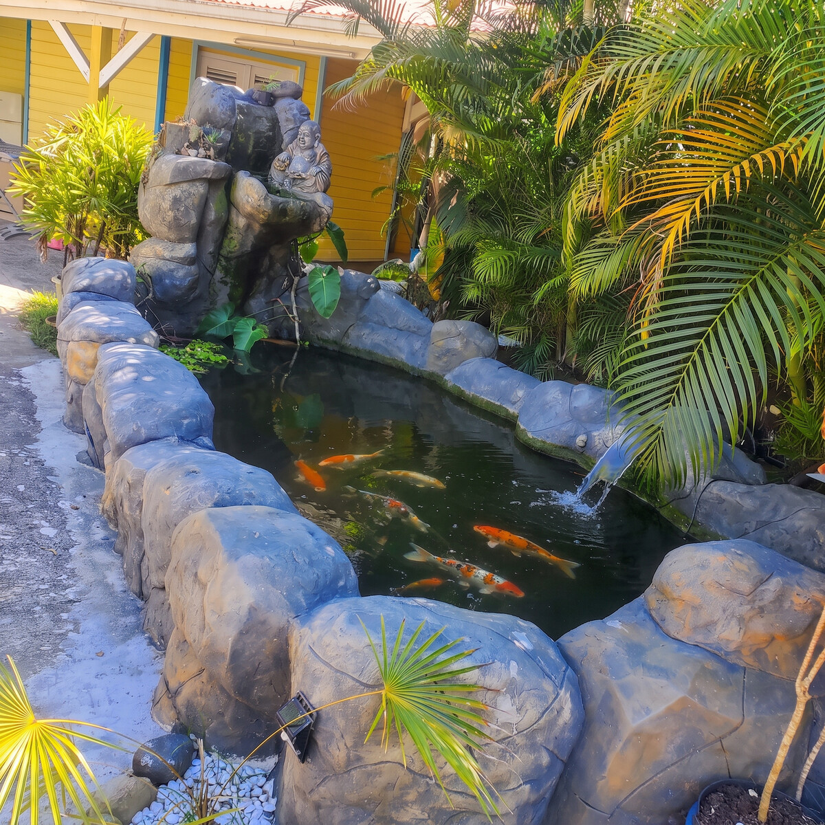 Studio intime avec piscine et jacuzzi partagés au Gosier - Photo 14