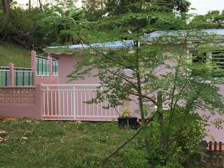 Appartement avec jardin et terrasse au Gosier, à 3 km de la plage : photo 11
