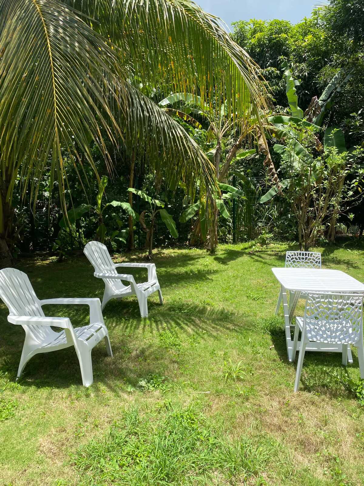 Maison 1 chambre à Baie-Mahault, jardin clos et parking - Photo 1