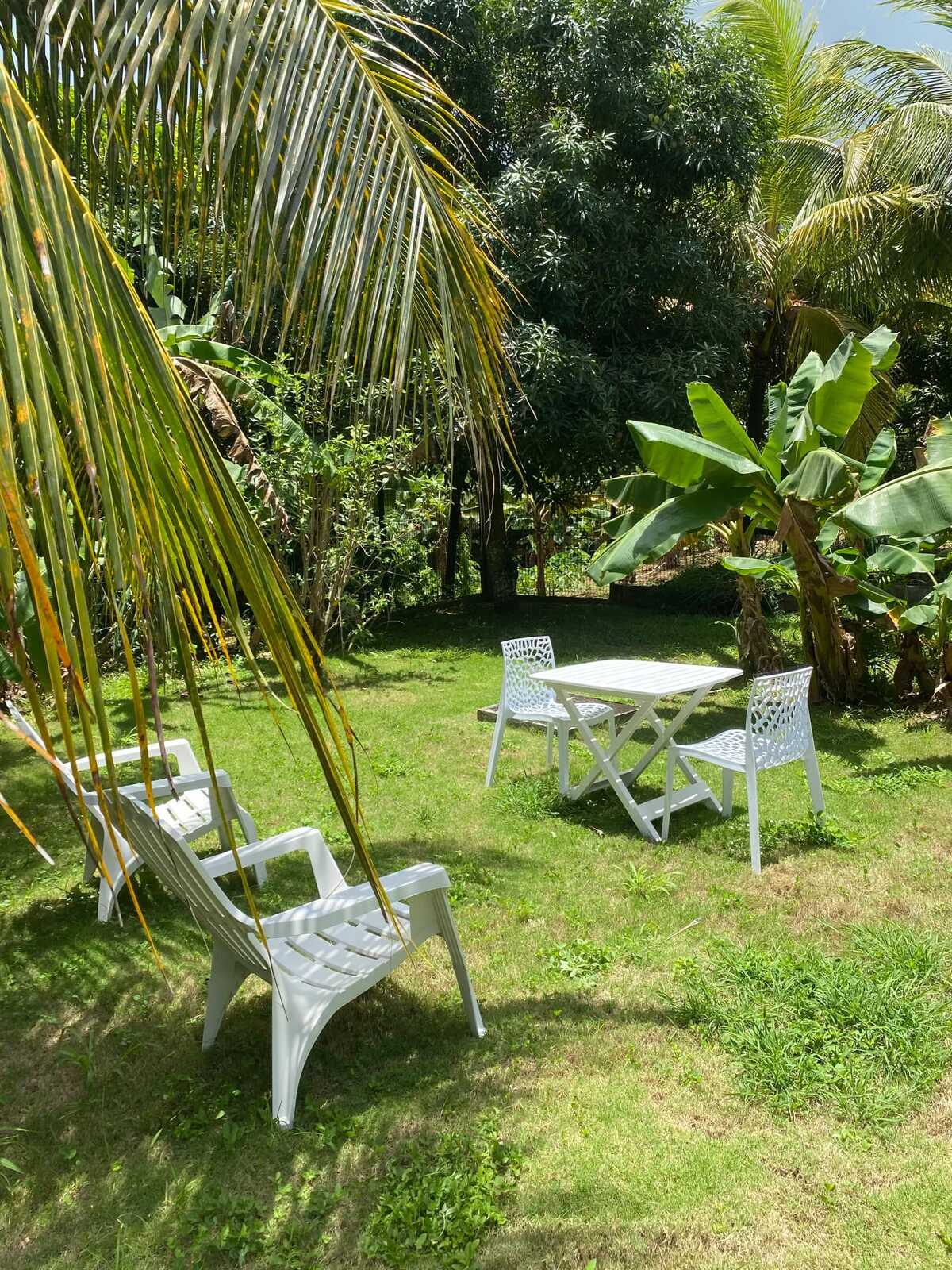 Maison 1 chambre à Baie-Mahault, jardin clos et parking - Photo 2