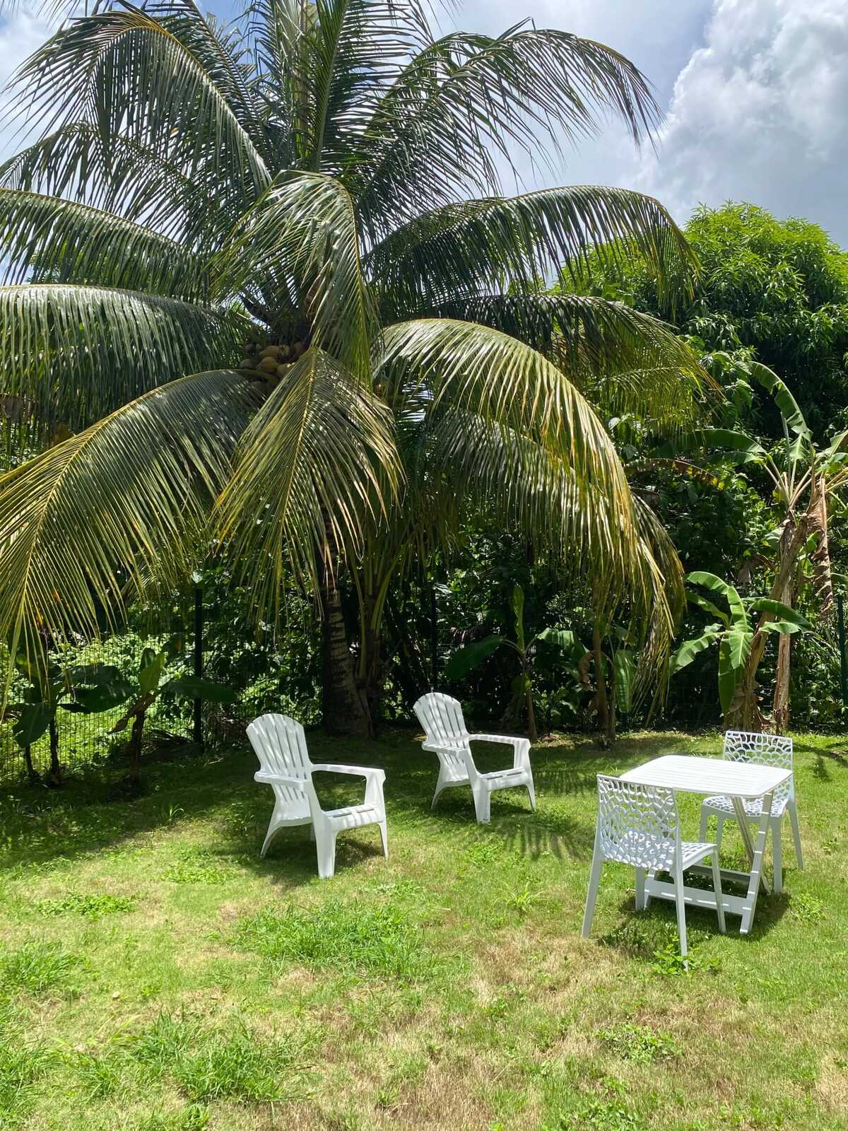 Maison 1 chambre à Baie-Mahault, jardin clos et parking - Photo 3